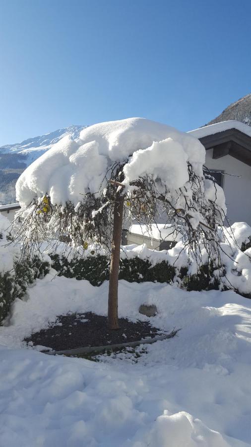 Apartment Alpenappartement Sonne